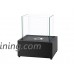 Ignis Cube XL Tabletop Ventless Ethanol Fireplace - B00ATTLCKY